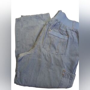 NWOT Woman Within 100% Cotton Light Blue Denim Jeans 18wp Zip Elastic Waist